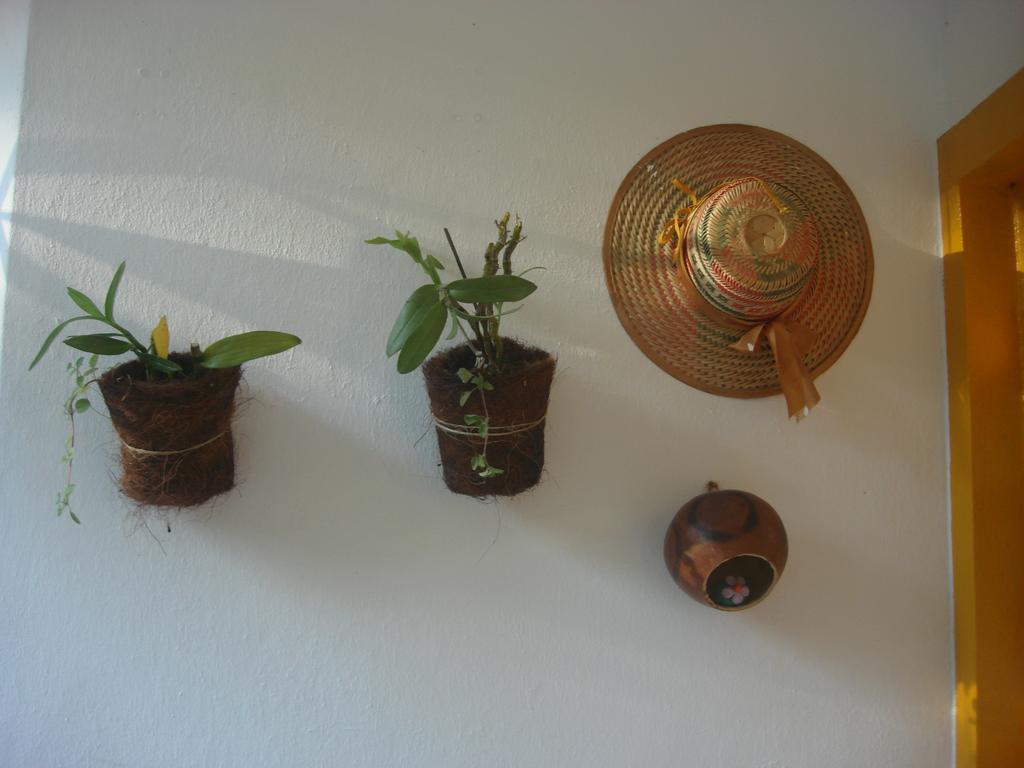 Ecopousada Lar Sagrado Arco-Iris Guest house *