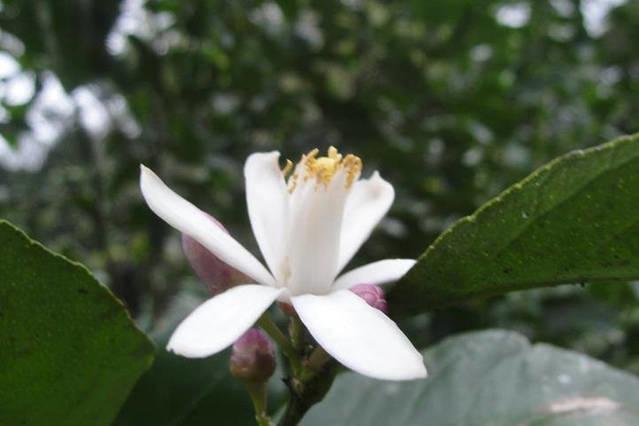 Ecopousada Lar Sagrado Arco-Iris Ubatuba